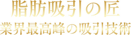 脂肪吸引の匠　業界最高峰の吸引技術
