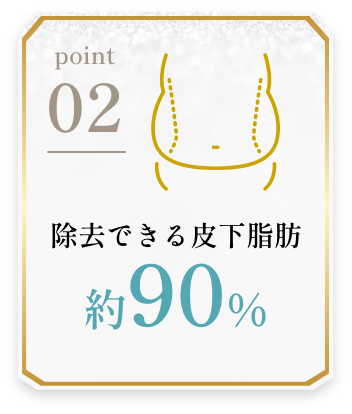 POINT02 除去できる皮下脂肪 約90%