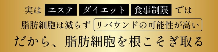 実はエステ ダイエット 食事制限では脂肪細胞は減らずリバウンドの可能性が高い だから、脂肪細胞を根こそぎ取る