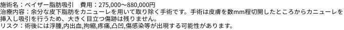 施術名：ベイザー脂肪吸引　費用：275,000～880,000円 治療内容：余分な皮下脂肪をカニューレを用いて取り除く手術です。手術は皮膚を数mm程切開したところからカニューレを挿入し吸引を行うため、大きく目立つ傷跡は残りません。リスク：術後には浮腫,内出血,拘縮,疼痛,凸凹,傷感染等が出現する可能性があります。