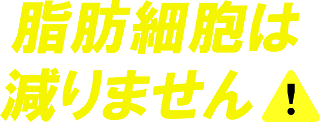 脂肪細胞は減りません
