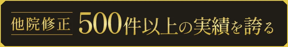 他院修正 500件以上の実績を誇る