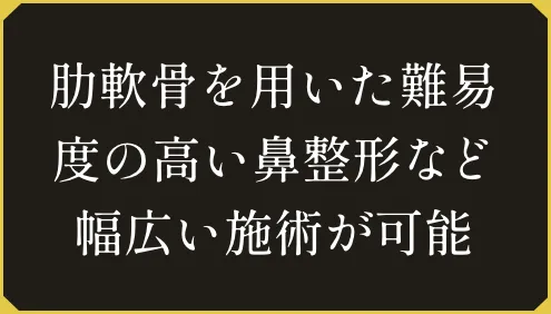 肋軟骨を用いた難易度の高い鼻整形など幅広い施術が可能