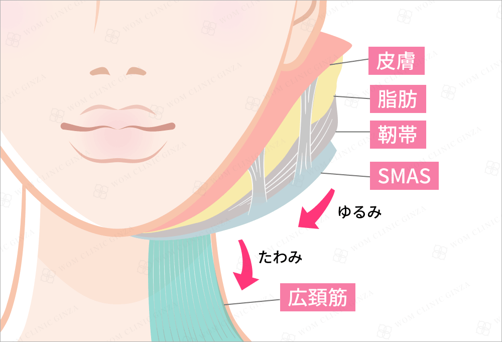 顔のエイジングケア