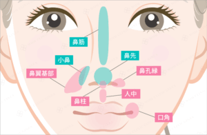 鼻整形で対応している部位