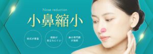 小鼻縮小_TOP _MV_pc