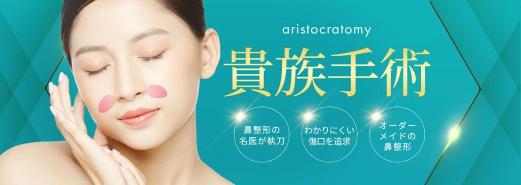 貴族手術･猫手術