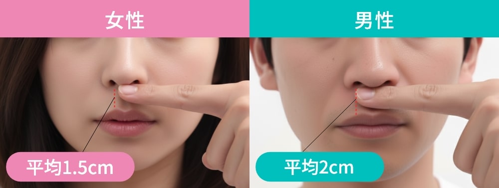 日本人の人中の長さの平均