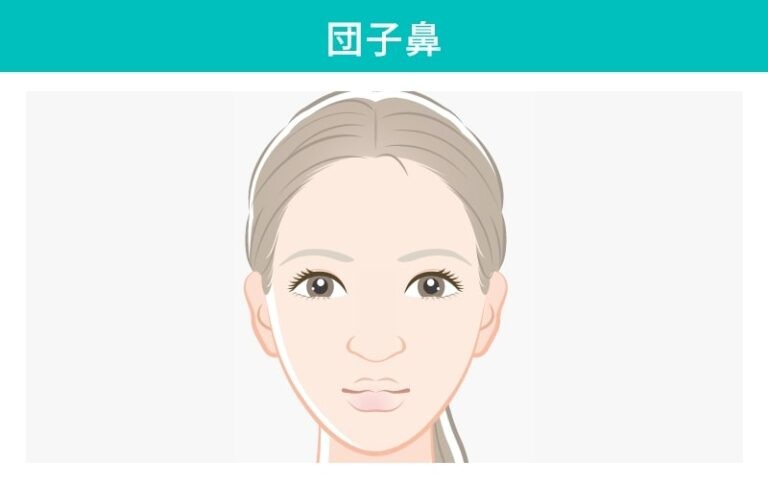 女性の顔団子鼻