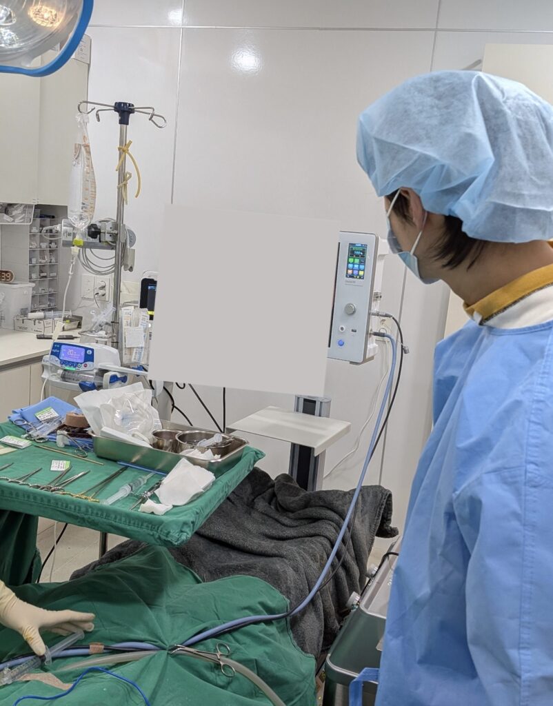 『WOM CLINIC GINZA×ILCHI整形外科』の画像