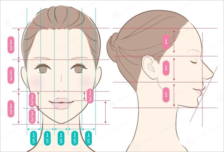 理想の目の大きさの比率