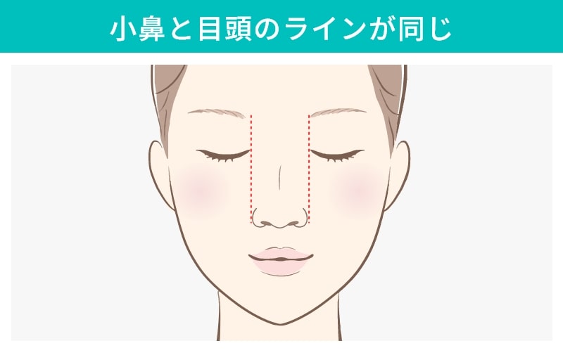小鼻と目頭のラインが同じ