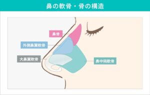 医学用語で分類される鼻の形一覧