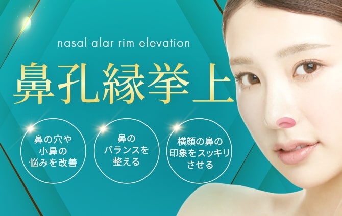 鼻孔縁挙上