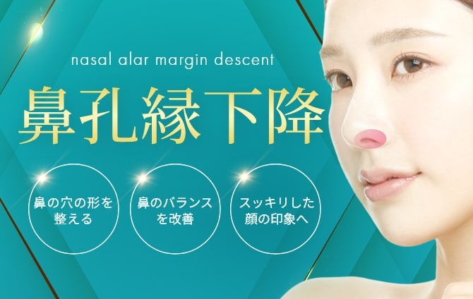 鼻孔縁下降