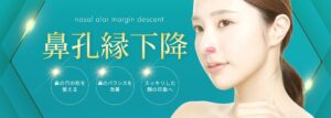 鼻孔縁下降_TOP _MV_pc