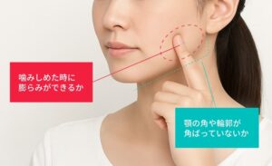 エラ張りセルフチェック