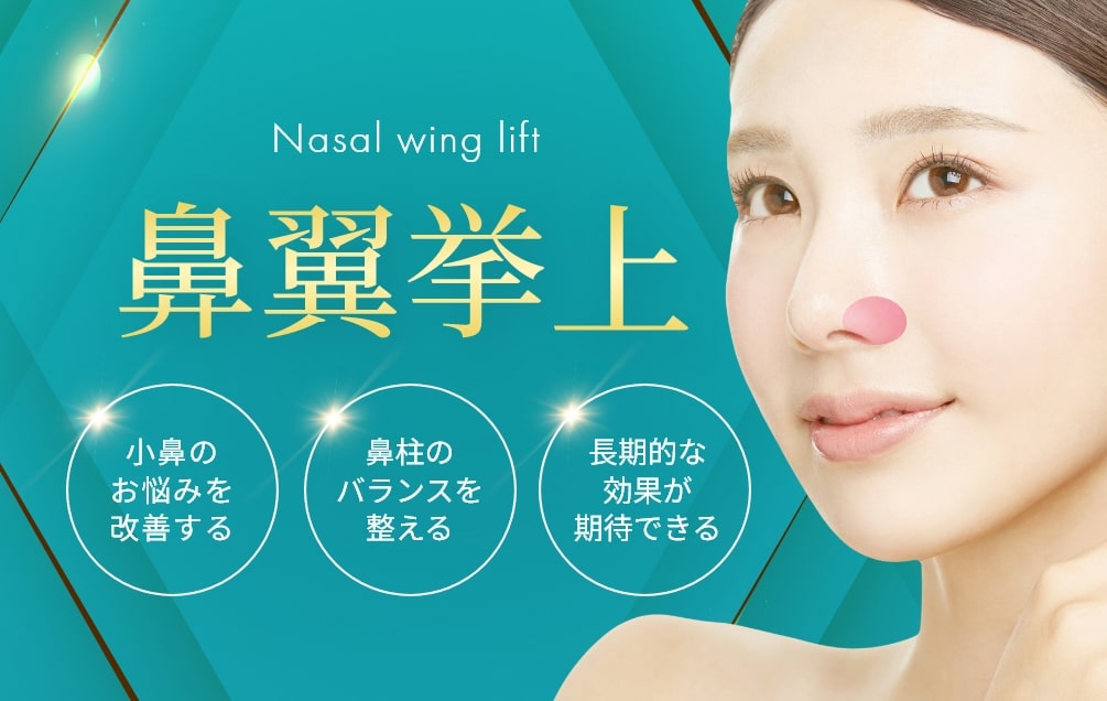 鼻翼挙上