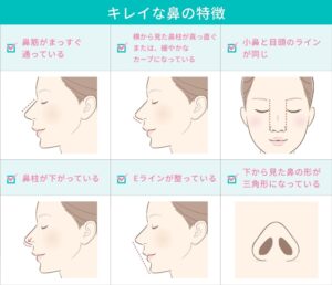 美しい鼻の特徴と形状のイラスト