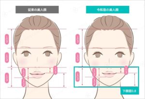 美人の顔のバランスを比較した図