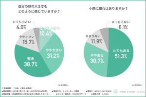 顔の大きさに関するアンケート結果
