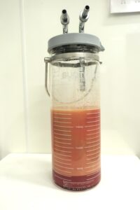 『【ダウンタイム毎日経過公開】二の腕脂肪吸引を考えている方は必見です。』の画像